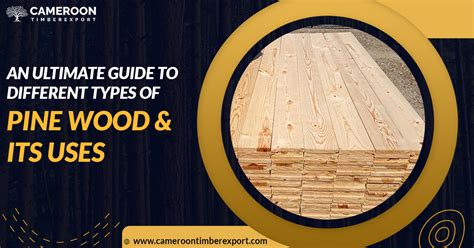 An Ultimate Guide To Different Types Of Pine Wood & its Uses