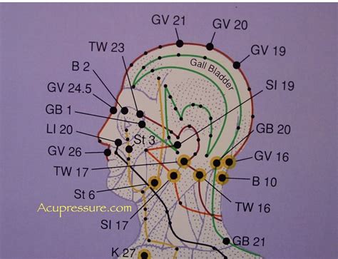 Pin by Sifu Massimo Iannaccone Lam on Acupuncture & massage | Acupressure points, Acupressure ...