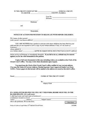 INSTRUCTIONS for THIRTEENTH JUDICIAL CIRCUIT FORM - Fill Out and Sign Printable PDF Template ...