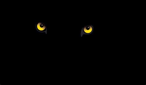 Black Leopard Eyes Stock Illustration - Download Image Now - iStock