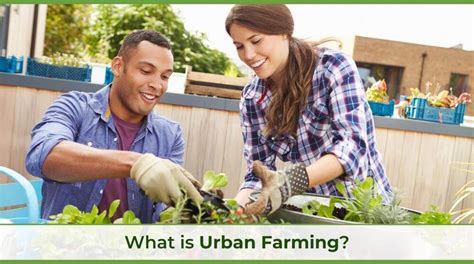 What Is Urban Farming? Understanding Urban Agriculture