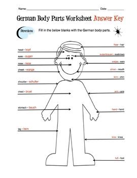 German Body Parts Label Worksheet & Answer Key by Sunny Side Up Resources