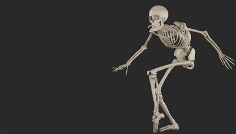 Skeleton Poses Images – Browse 15,567 Stock Photos, Vectors, and Video | Adobe Stock