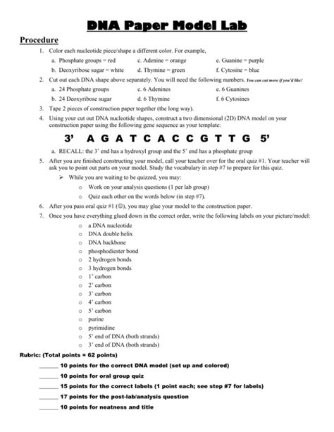 DNA Paper Model Lab