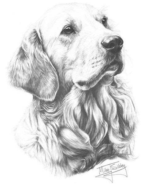 Our Tips On How To Draw Animals | Golden retriever art prints, Golden retriever art, Dog paintings