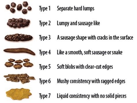 Ibs Stool Chart