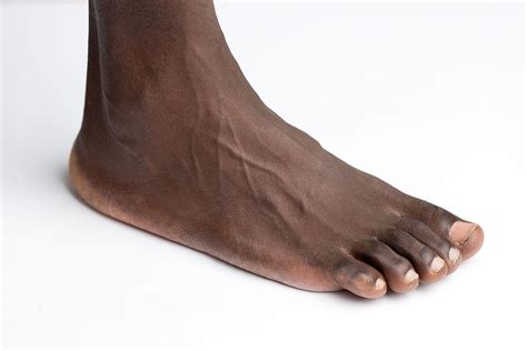 Foot - Wikipedia