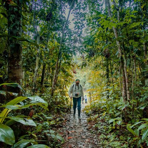 Turismo sostenible | Amazonía peruana | Jungle Experiences