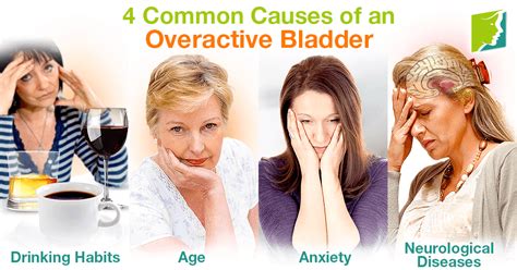 4 Common Causes of an Overactive Bladder | Menopause Now