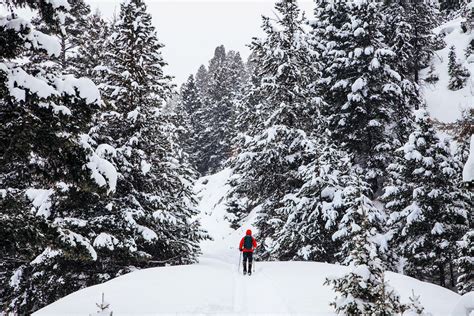 Hiking in Montana: Things You Should Know | Backyard Montana