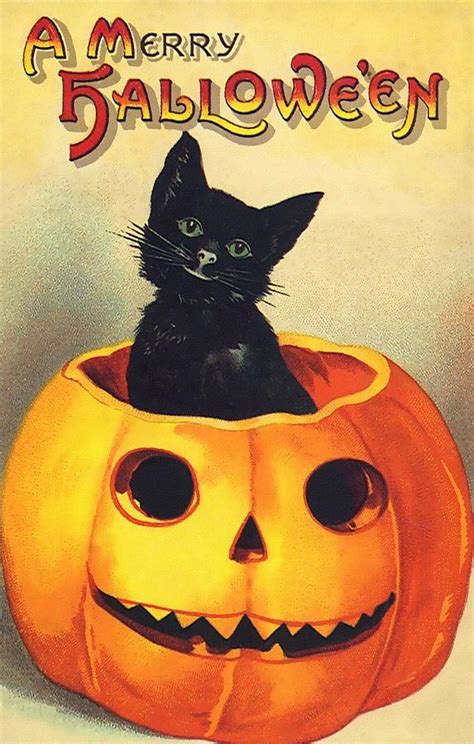 Halloween Black Cat Painting by Vintage Art - Fine Art America