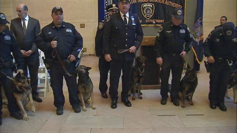 MTA police dogs graduate | FOX 5 New York