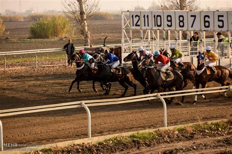 Mehr News Agency - Horse-riding competitions in Gonbad