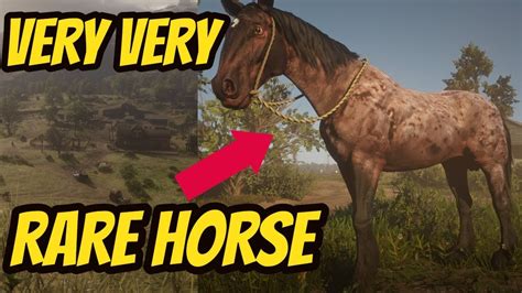 Red Dead Redemption 2 VERY VERY RARE HORSE !! RAREST HORSE IN THE GAME - YouTube