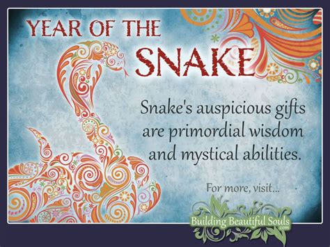 Chinese Zodiac Snake | Year of the Snake | Chinese Zodiac Signs Meanings