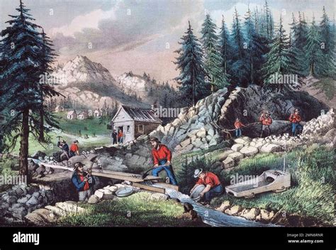 Gold mining during the California Gold Rush of 1848 - 1855. The picture ...