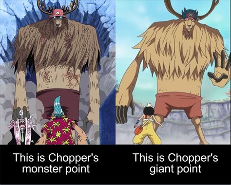 Guide to chopper forms : r/OnePiece