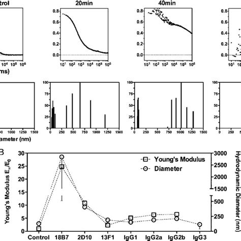 Concentration-dependent capsular (quellung) reaction. Light microscopy ...