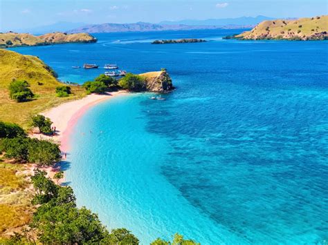 The STUNNING Komodo Island Pink Beach (Labuan Bajo, Indonesia)