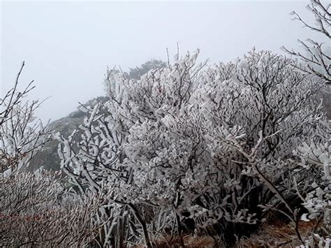 First Snow Falls at Jirisan Mountain