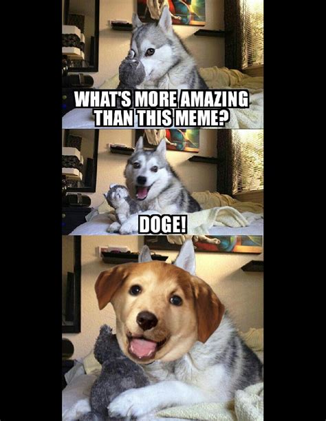 advice pun dog | Pun Dog | Know Your Meme