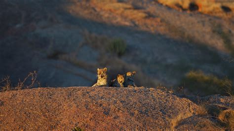 SUJÁN JAWAI, Jawai Bandh, Pali, Rajasthan ⋆ Hotel ⋆ Greaves India