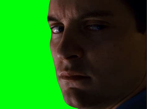 Spider Man 3 Tobey Maguire Staring Meme (quiet) by IonNomad - Tuna