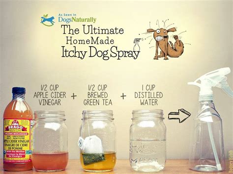 Homemade Flea Spray For Dogs Using Apple Cider Vinegar - Apple Poster