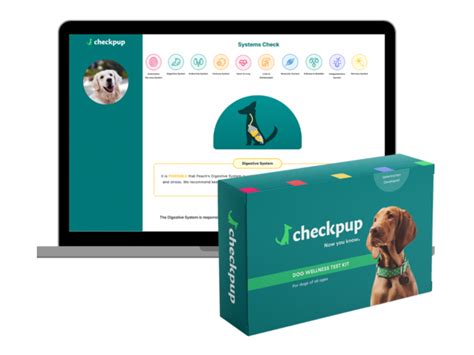 Track Your Furry Friend's Health to Help Them Thrive