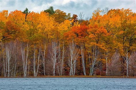 Minnesota DNR Launches Fall Color Finder