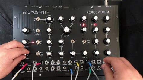 Perceptron - A New Analog Synth