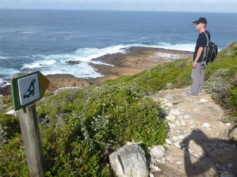 Robberg Nature Reserve And Marine Protected Area Hiking