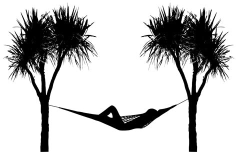 Hammock Between Palm Trees Free Stock Photo - Public Domain Pictures