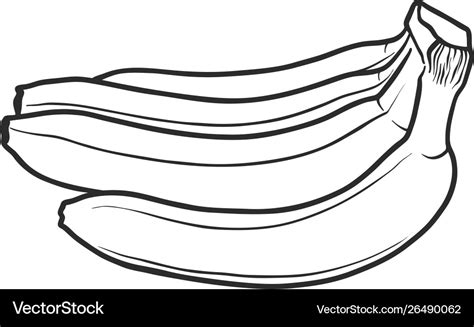 Bananas black and color gradient outline Vector Image