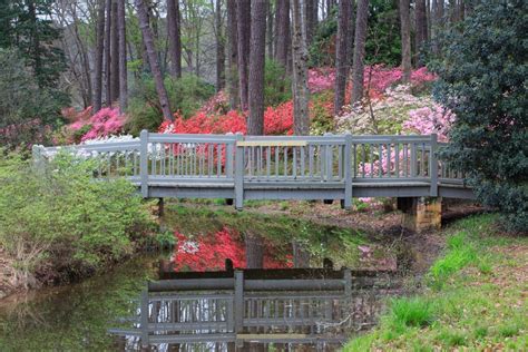 Callaway Gardens | CityDays