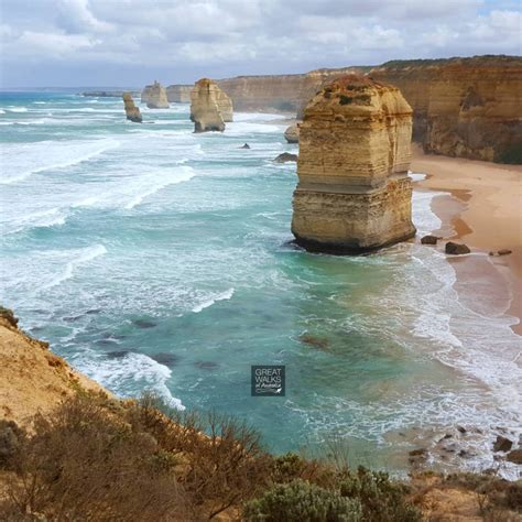 Guided Walk | Great Ocean Road | Twelve Apostles Apollo Bay Trek