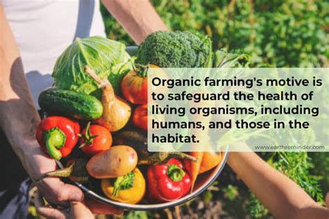 Organic Farming: Methods and Types | Earth Reminder