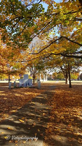 Salem fall foliage in November-58.jpg | Scenes in November a… | Flickr