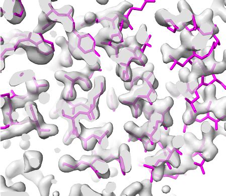 Researchers Assess AlphaFold Model Accuracy - Biosciences Area