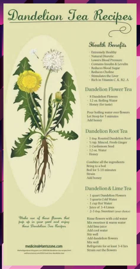 How to Harvest Dandelion Root and Make Roasted Dandelion Tea ...