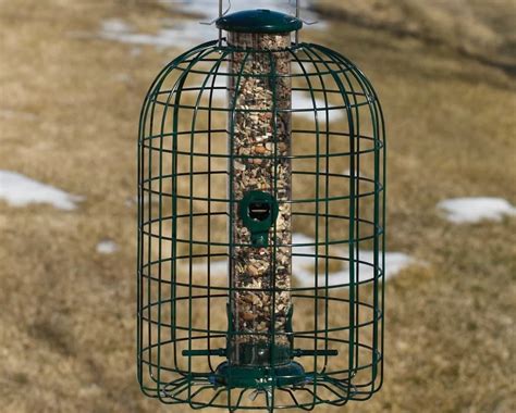 6 Squirrel Proof Bird Feeders [That ACTUALLY Work!] - Bird Watching HQ