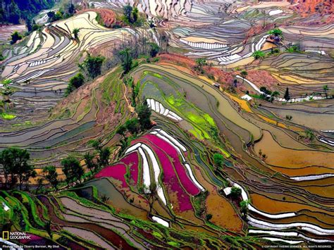 Terraced Rice Field in Yunnan, China : r/pics