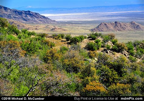 Tularosa Basin Picture 009 - March 25, 2016 from Organ Mountains-Desert Peaks National Monument ...