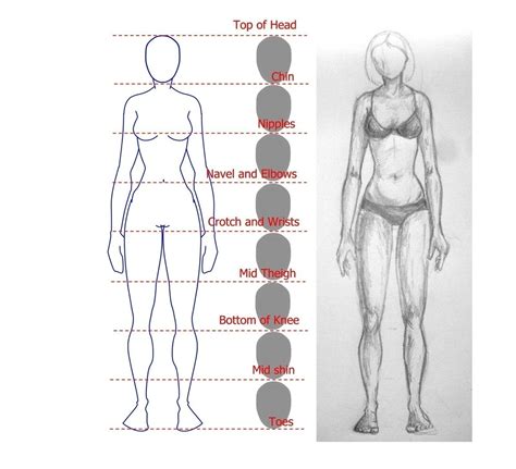 Drawing The Female Figure · How To Make A Drawing · Drawing on Cut Out ...