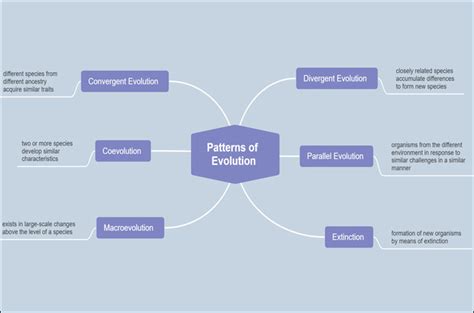 Evolution Concept Map: Concept, Theories and Patterns