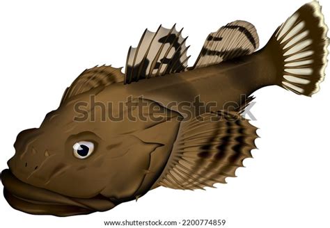 9 Sculpin Fish Stock Vectors, Images & Vector Art | Shutterstock