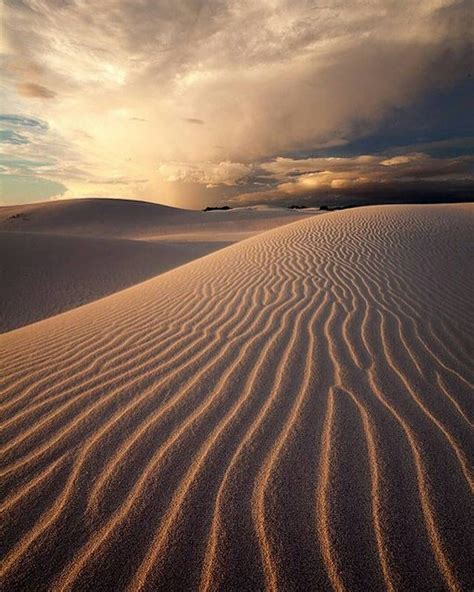 Exploring the dunes of Atlantis in the Western Cape. Photo by @hougaard ...