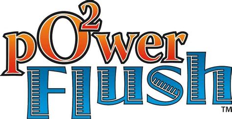 Disinfecting Services Offers Power Flush - Onion World