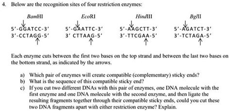 SOLVED: Below are the recognition sites of four restriction enzymes ...