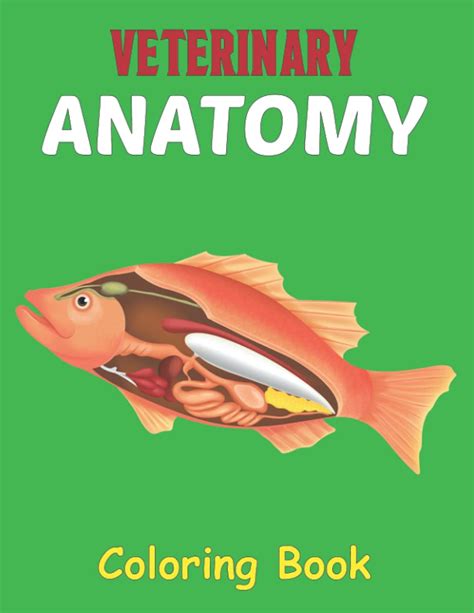 Veterinary Anatomy Coloring Book: Physiology Animals WorkBook | Simple Animal Body Parts For ...